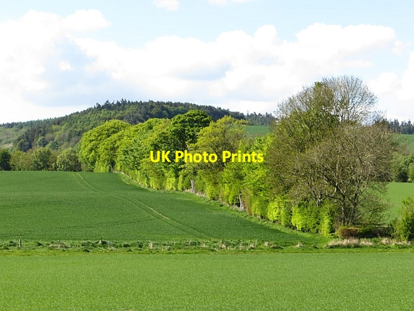 Photo 6"x4" Farmland, Kilmany Kilmany c2013