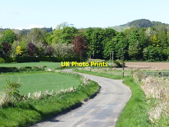 Photo 6"x4" Road to Kilmany Kilmany c2013