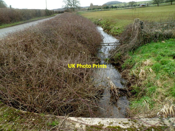 Photo 6"x4" St Brides Brook in late winter, St Brides Netherwent Knollbury\/ST4388 c2012