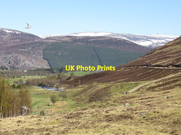 Photo 6"x4" Glen Clunie Tomintoul\/NO1490 c2013 P1