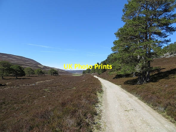 Photo 6"x4" Road to White Bridge Muir\/NO0689 c2013