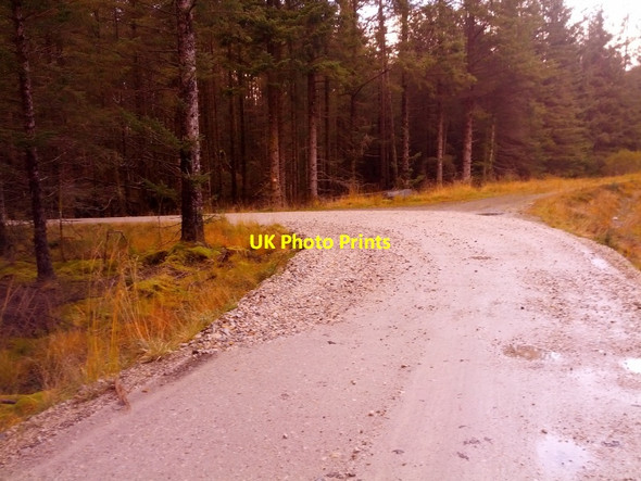 Photo 6"x4" Forestry track junction Inchree c2013