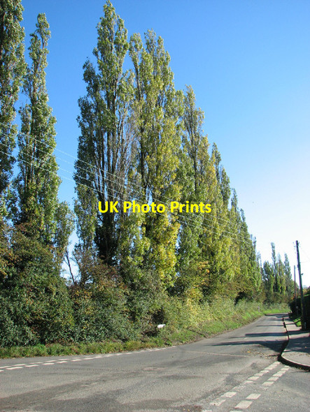 Photo 6"x4" View along Middle Road, Great Plumstead Great Plumstead c2013