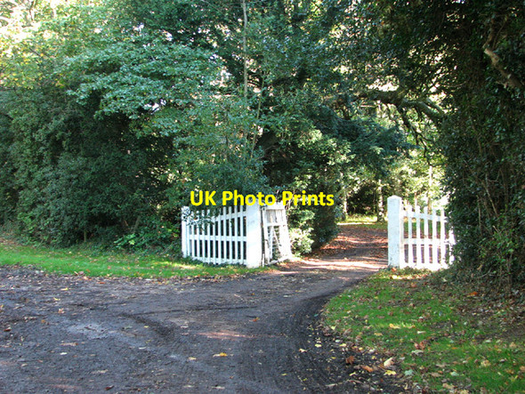 Photo 6"x4" Track past white gates Great Plumstead c2013