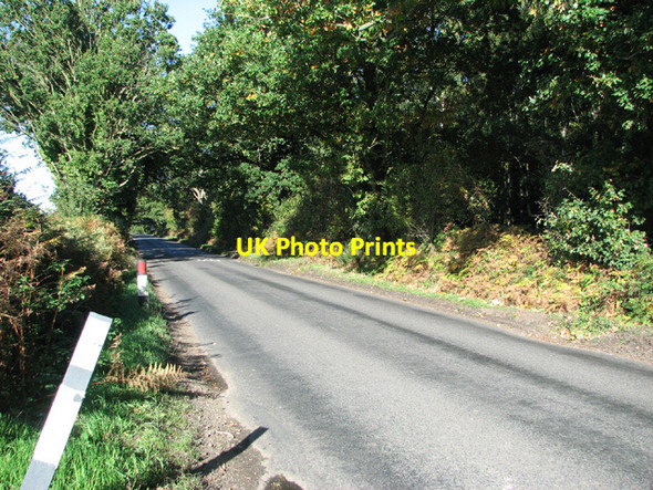 Photo 6"x4" Honeycombe Road past the Brakes Salhouse c2013