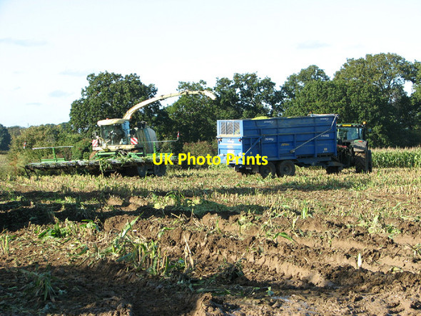 Photo 6"x4" Forage maize silage harvesting Woodbastwick c2013
