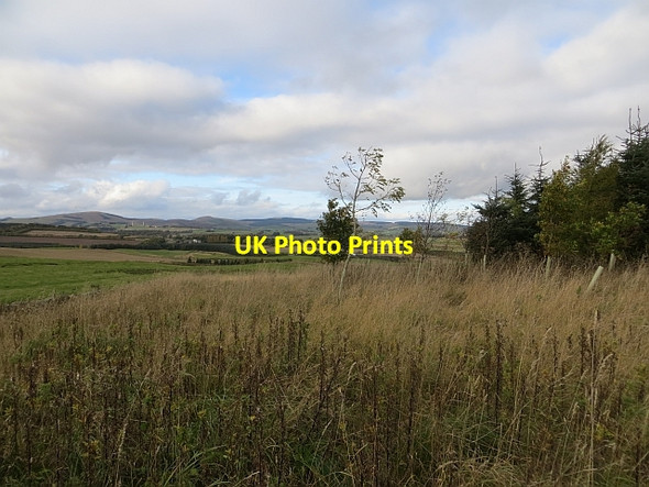 Photo 6"x4" New woodland, Cleish Mains Cleish c2013