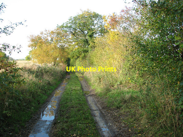 Photo 6"x4" Walking north on Spink's Lane Oulton\/TG1328 c2013