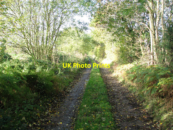 Photo 6"x4" To Spa Lane on Spink's Lane Oulton\/TG1328 c2013