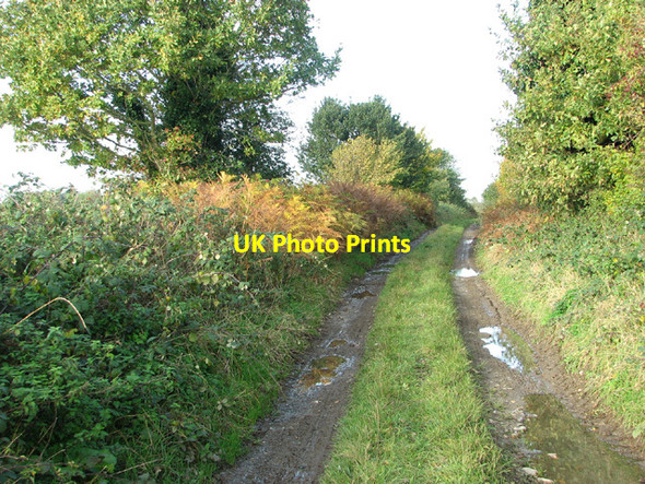 Photo 6"x4" A walk on Spink's Lane Oulton\/TG1328 c2013