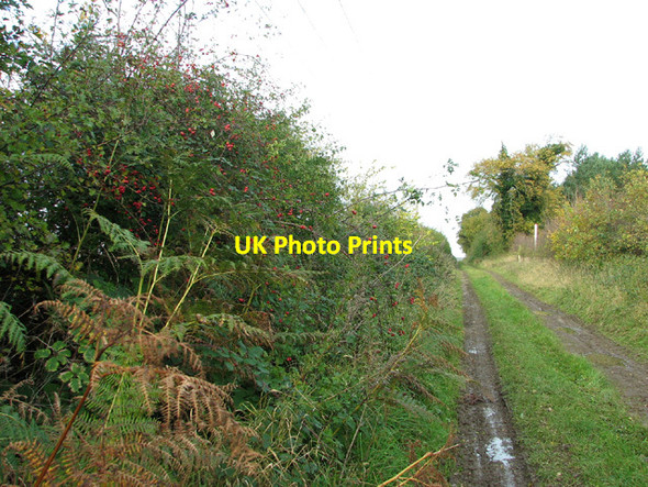 Photo 6"x4" Approach to Spa Lane from Spink's Lane Oulton\/TG1328 c2013