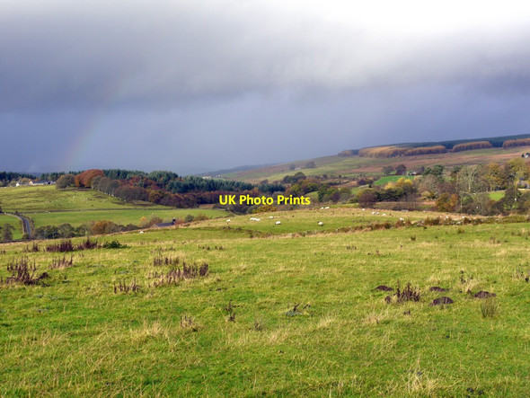 Photo 6"x4" Pasture above Burnmouth Greenhaugh\/NY7987 c2013