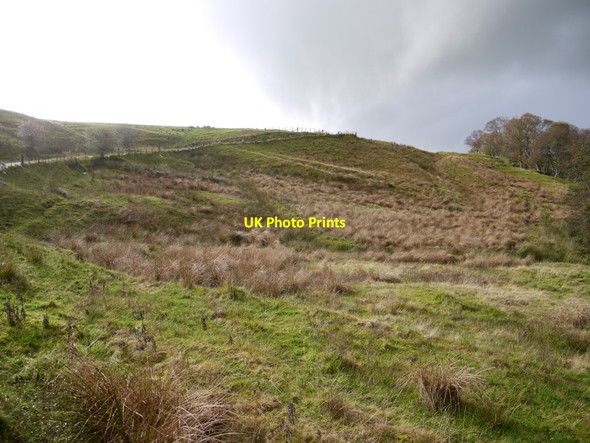 Photo 6"x4" Rough pasture above Tarret Burn Greenhaugh\/NY7987 c2013