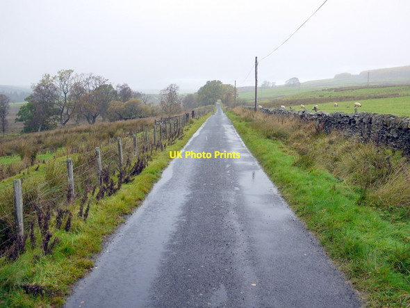 Photo 6"x4" Road north-west of Gatehouse Greenhaugh\/NY7987 c2013