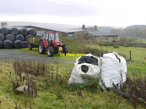 Photo 6"x4" Gleedlee Farm Greenhaugh\/NY7987 c2013