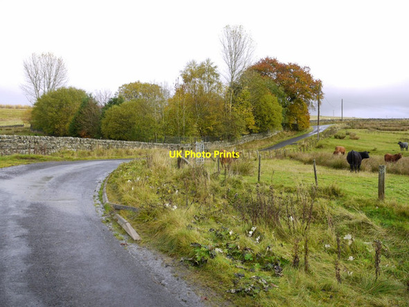 Photo 6"x4" Road below Shipley Shiels Greenhaugh\/NY7987 c2013