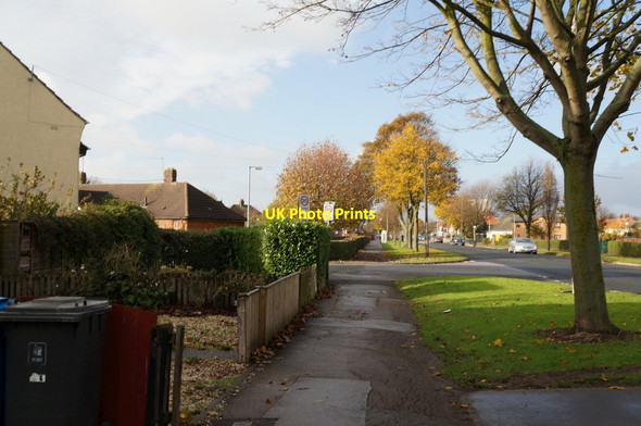 Photo 6"x4" Greenwood Avenue, Hull Inglemire c2013