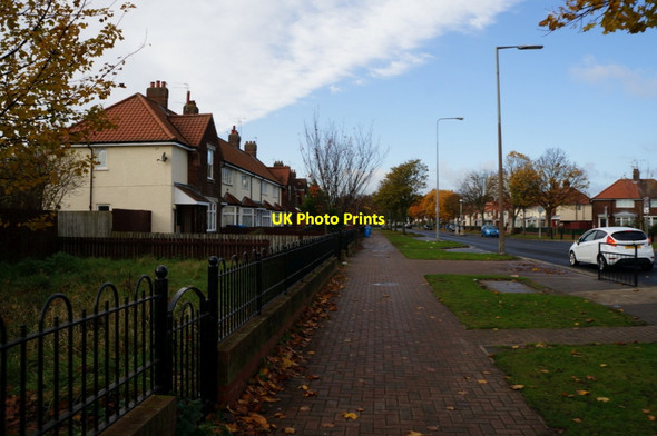Photo 6"x4" Greenwood Avenue, Hull Cottingham\/TA0432 c2013