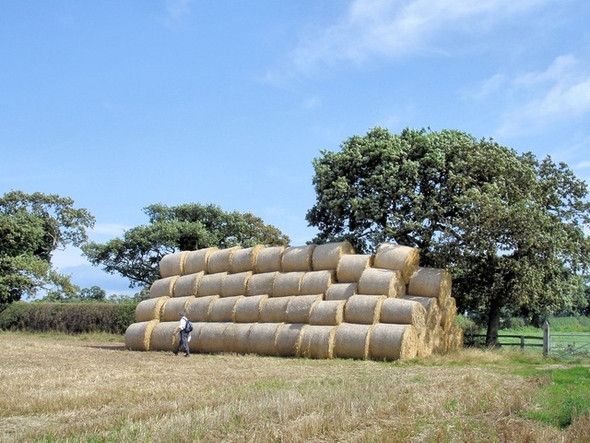 Photo 6"x4" Huntington - footpath 4 Saighton c2008