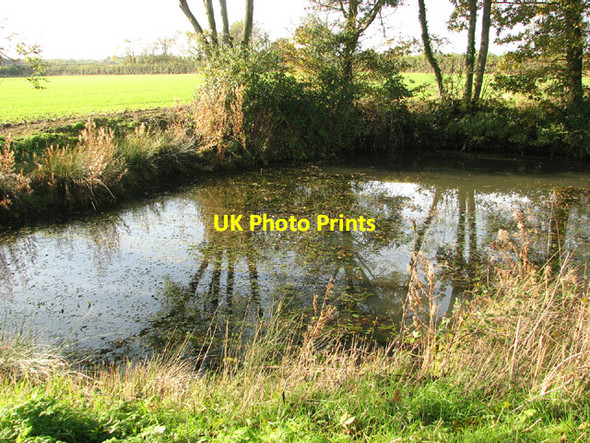 Photo 6"x4" Small pond beside Waterheath Road Toft Monks c2013