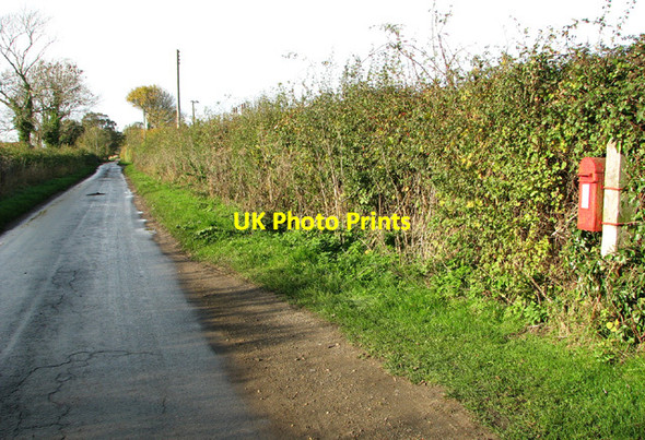Photo 6"x4" View along Waterheath Road Toft Monks c2013
