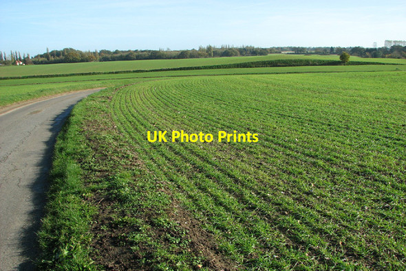 Photo 6"x4" View along Waterheath Road Aldeby c2013