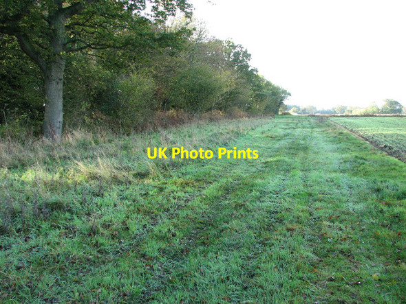 Photo 6"x4" Footpath to Toft Monks Haddiscoe c2013