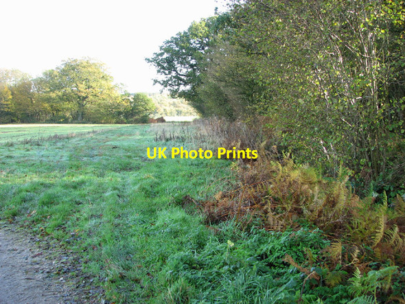 Photo 6"x4" Footpath past Great Wood Haddiscoe c2013
