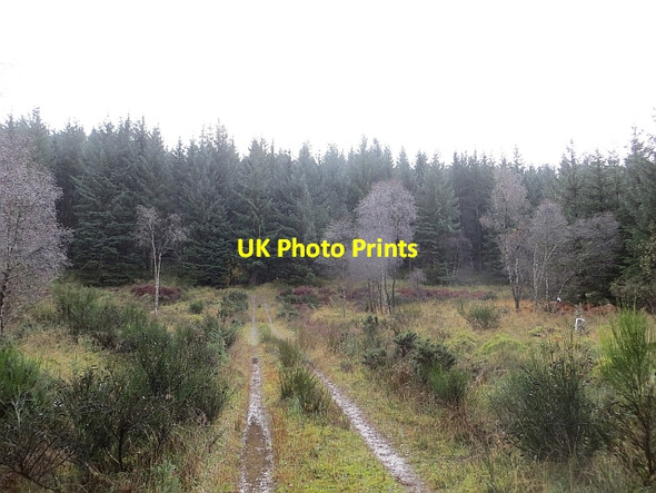 Photo 6"x4" Track, Loch Ard Forest Gartmore c2013
