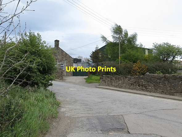Photo 6"x4" Loanhead Plant Loanhead\/NT2765 c2013