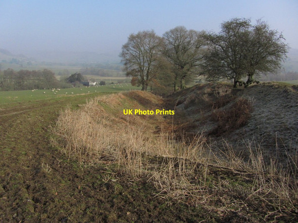 Photo 6"x4" A section of Offa's Dyke, SW of Discoed Discoed c2013