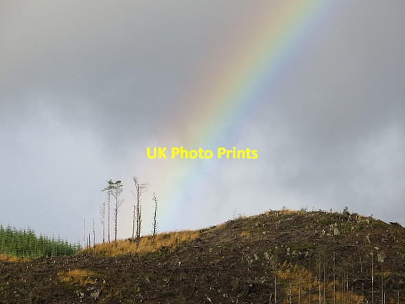 Photo 6"x4" Felled area, Loch Ard Lime Hill c2013