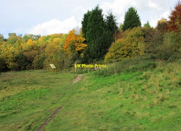 Photo 6"x4" A path in Habberley Valley, near Kidderminster Kidderminster c2013