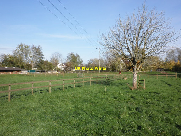 Photo 6"x4" Flood meadow, Tone Valley Bradford-on-Tone c2013