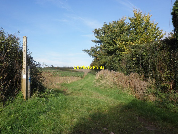 Photo 6"x4" Footpath, west of Toogood's Farm Wellington\/ST1420 c2013