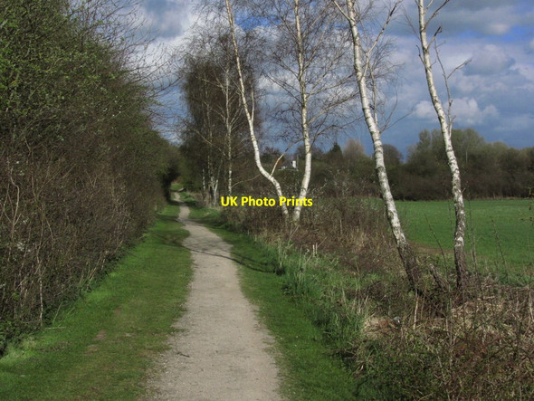 Photo 6"x4" Footpath, Sankey Valley Park, Newton Common Haydock c2013