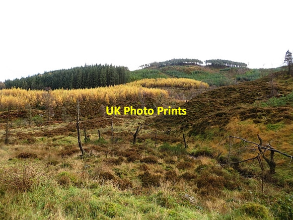 Photo 6"x4" Loch Ard Forest Kinlochard c2013
