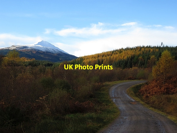 Photo 6"x4" Road, Loch Ard Forest Kinlochard c2013