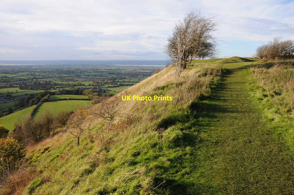 Photo 6"x4" Cotswold Way on Coaley Peak Coaley Peak c2013