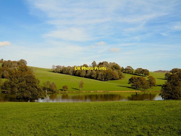 Photo 6"x4" Deer across Wadhurst Deer Park Lake Combe\/TQ6228 c2013