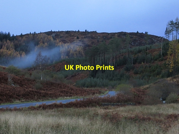 Photo 6"x4" Achray Forest Milton\/NN5001 c2013