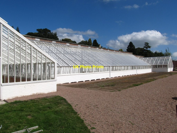 Photo 6"x4" The refurbished greenhouses at the Annesley Gardens, Castlewellan Castlewellan c2013