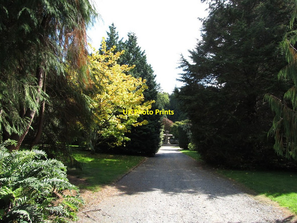 Photo 6"x4" Avenue leading to the Heron Fountain at the Annesley Gardens Castlewellan c2013