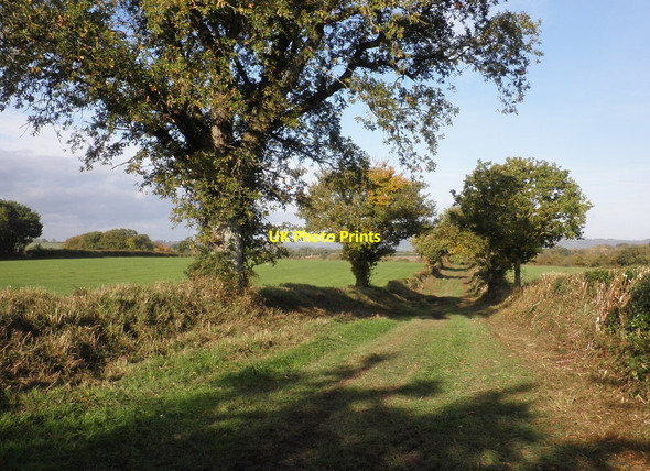 Photo 6"x4" Inviting footpath to Oake Weekmoor c2013