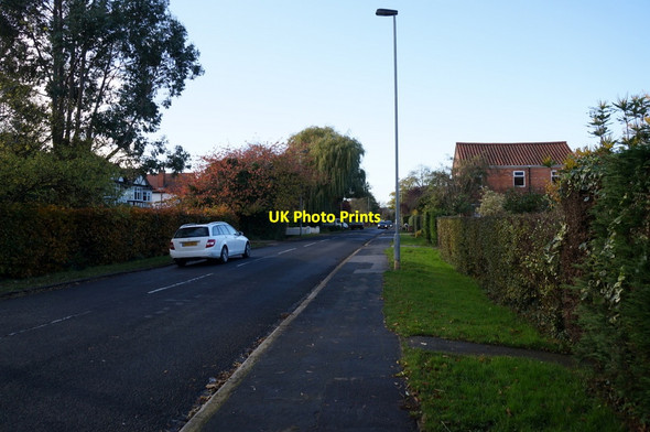 Photo 6"x4" Tranby Lane towards Swanland Hessle\/TA0326 c2013