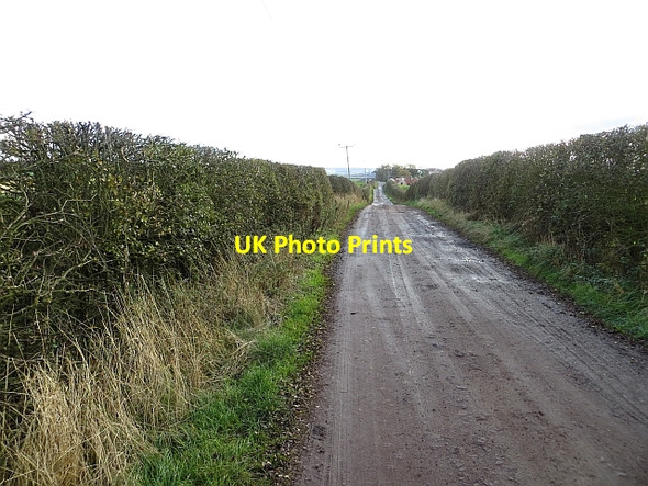 Photo 6"x4" Road, Stonelaws Whitekirk c2013