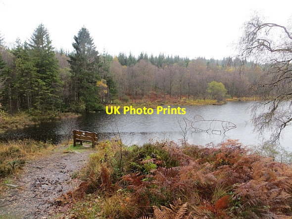 Photo 6"x4" Lochan Spling Kirkton\/NN5100 c2013 P1