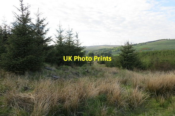 Photo 6"x4" Ride, Carron Valley Forest High Banton c2013
