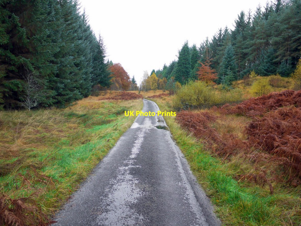Photo 6"x4" Road south-east of Sidwood Greenhaugh\/NY7987 c2013