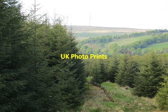 Photo 6"x4" Ride, Carron Valley Forest High Banton c2013